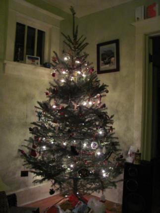 Christmas tree 2011