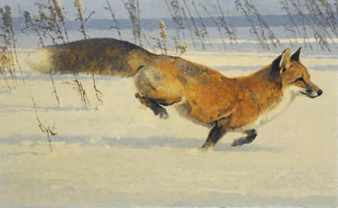 winter-Kuhn_LikeTheDownOfAThistle